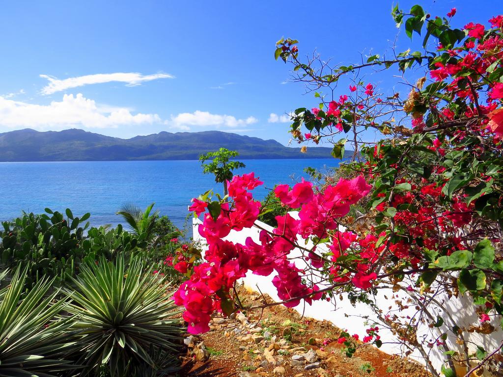 Villa Salamandra Las Galeras Exteriér fotografie